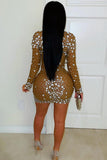 Embellished Illusion Evening Dress