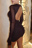Elegant Ruched Mesh Sleeve Dress