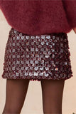 Sequin Embellished Mini Skirt