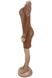 Embellished Illusion Evening Dress