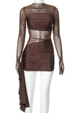 Elegant Mesh Evening Dress