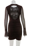 Elegant Ruched Mesh Sleeve Dress