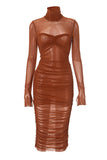 Ruched Mesh Turtleneck Midi Dress