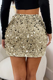 Sequin Embellished Mini Skirt