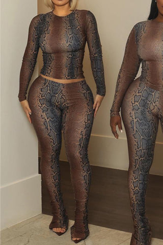 Snakeskin Print Pants Set