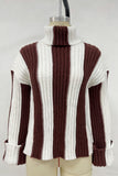 Turtleneck Striped Sweater