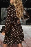 Polka Dot Wrap V Neck Mini Dress
