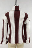Turtleneck Striped Sweater