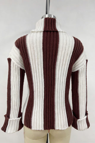 Turtleneck Striped Sweater