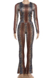 Snakeskin Print Pants Set