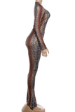 Snakeskin Print Pants Set