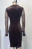 Lace-Detail Bodycon Dress