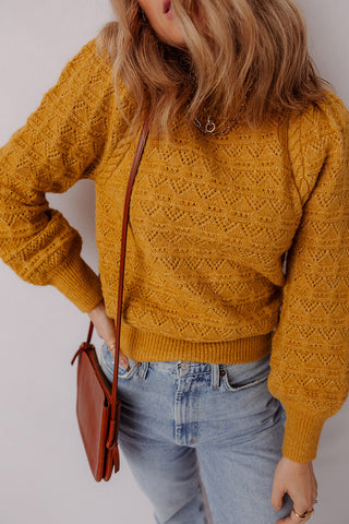 Hollow Knit Sweater with Balloon Sleeves
