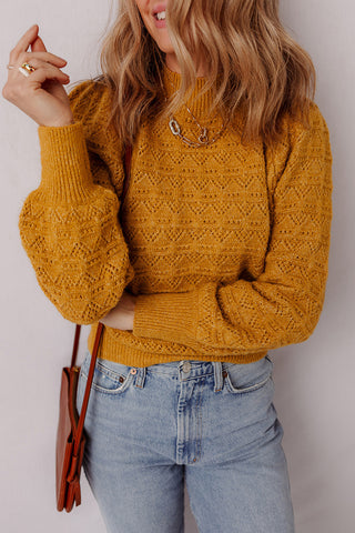 Hollow Knit Sweater with Balloon Sleeves