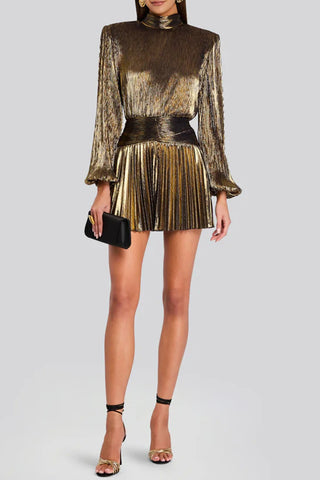 Elegant Evening Metallic Dress