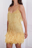 Fringe and Feathered Mini Dress