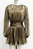 Elegant Evening Metallic Dress