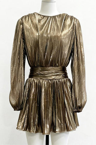 Elegant Evening Metallic Dress
