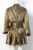 Elegant Evening Metallic Dress