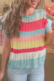 Stripe Hollow Out Knit Top