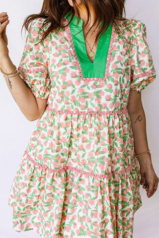 Ruffled Floral Casual Dress