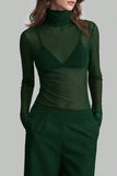 Sheer Turtleneck Long Sleeve Blouse