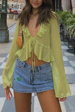Sheer Ruffle Tie-Front Blouse