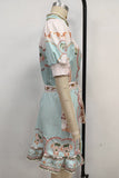 Belted Print Casual Dress