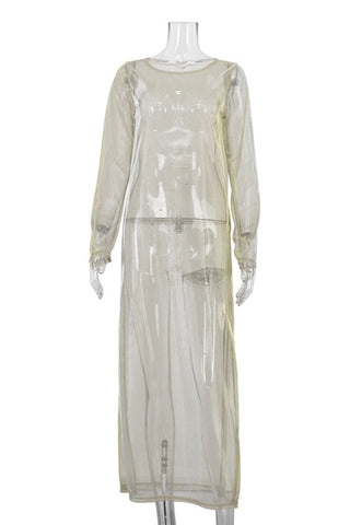Sheer Long Sleeve Dress