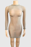 Sheer Long Sleeve Night Out Dress