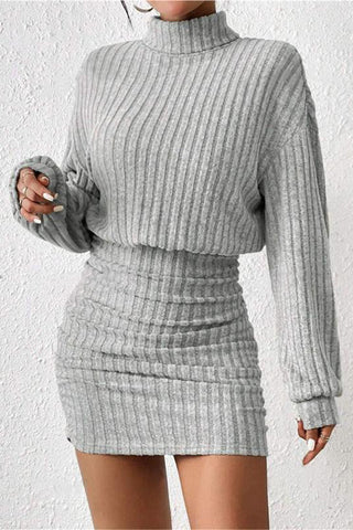Ribbed Turtleneck Casual Dress