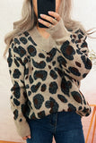 Stylish Animal Print Sweater