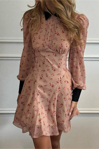 Floral Print Collared Mini Dress
