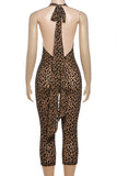Halter Neck Leopard Print Jumpsuit