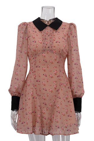 Floral Print Collared Mini Dress