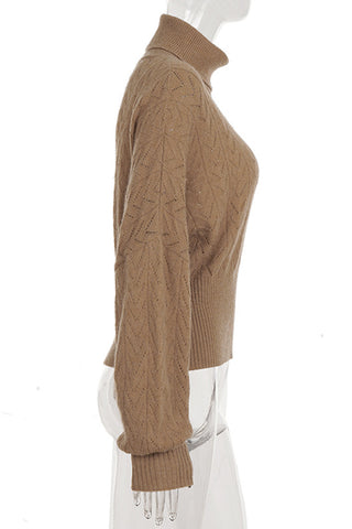Turtleneck Knit Pattern Sweater