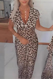Animal Print Casual Dress