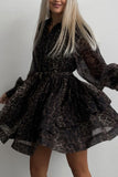 Animal Print Long Sleeve Casual Dress