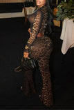 Leopard Print Mesh Pants Set