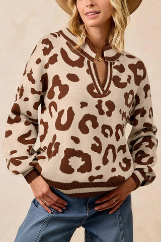 Animal Pattern V-Neck Sweater