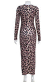 Long-Sleeve Leopard Print Dress