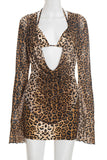 Chic Leopard Print Skirt Set