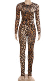 Leopard Print Long Sleeve Pants Set