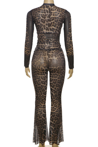 Leopard Print Mesh Pants Set