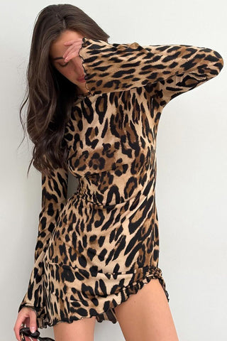 Leopard Print Long Sleeve Dress