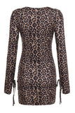 Leopard Print Casual Dress