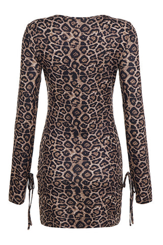 Leopard Print Casual Dress