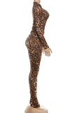 Leopard Print Long Sleeve Pants Set