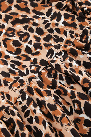 Leopard Print Casual Dress