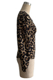 Lace-Trimmed Leopard Print V-Neck Top